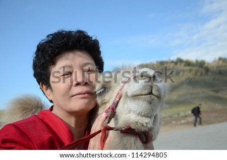 Chinese people haggling white camel for give it know her love in China, My mammy hag with camel in activity day.