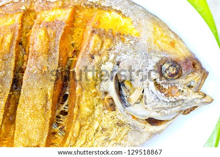 Close up fired fish Thai food ,the delicious of Thailand food