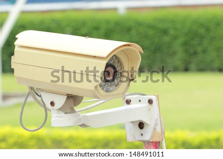 CCTV hang for check suitation in the garden