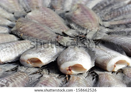 Snakeskin gourami fish drying in the outside in Thailand Garden