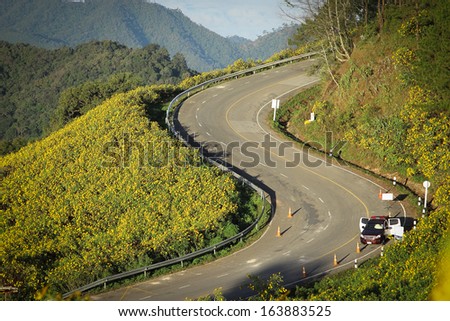 Winding road in Thailand National park