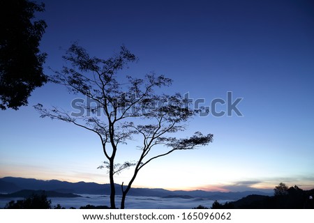Wild twilight time in Thailand National park
