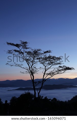Wild twilight time in Thailand National park