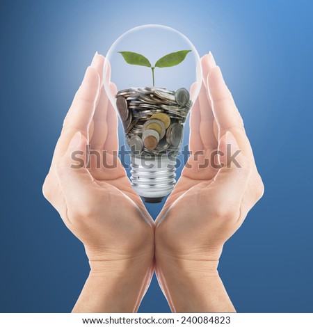 Hand cover growing money coins with bulb idea for investment in the future.