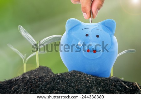 Deposit money to piggy bank for growing finance