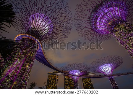 MARINA BAY ,SINGAPORE, MARCH 16, 2015: Big Tree light show night time for people watch the show in Garden By The Bay,Singapore