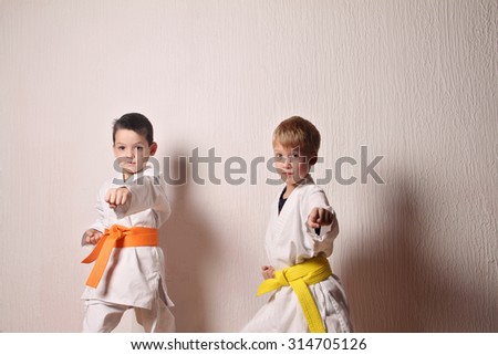 Kids during karate training. Martial arts.Sport, active lifestyle concept