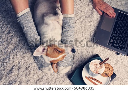Woman in cozy home wear relaxing at home with sleeping dog Jack Russel terrier, drinking cacao, using laptop, top view. Soft, comfy lifestyle.