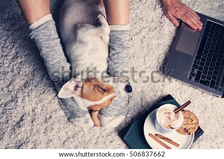 Woman in cozy home wear relaxing at home with sleeping dog Jack Russel terrier, drinking cacao, using laptop, top view. Soft, comfy lifestyle.