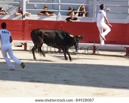ARLES, FRANCE - JULY 20: In the Course Camarguaise there are a dozen competitors trying to snatch rosettes from the horns of the bull without getting gored. Arles, France, July 20, 2011