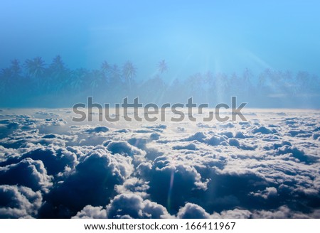 Palm tree island above the clouds (fantasy)