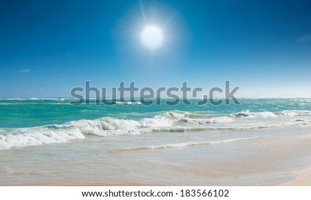 The sea and the sun