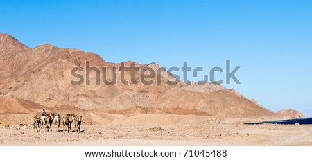 Mountains and camel caravan. Egypt