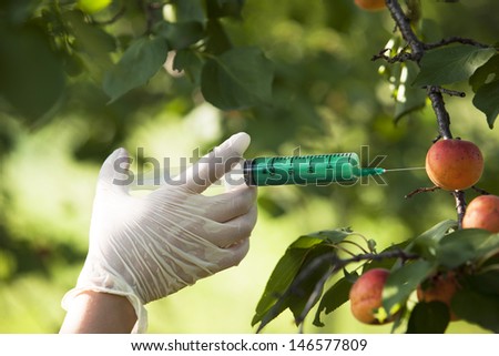 Genetically Modified Fruit