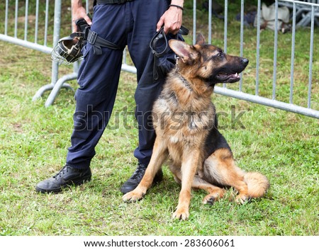 Police officer with the german shepherd police dog