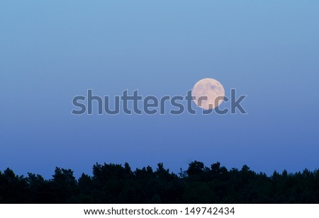 Big moon over forest at night