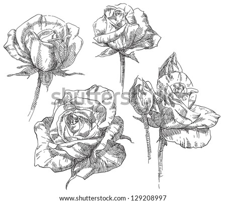 Hand drawing flower Hand drawing flower