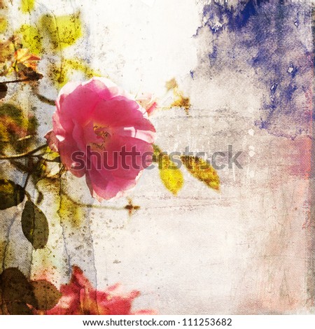 climbing rose with an attractive painted grunge texture