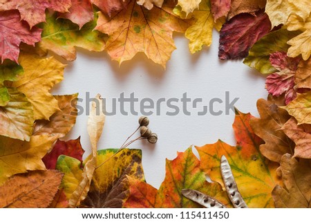autumn leaves frame with white canvas for copy space