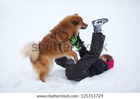 pretty girl lies in the snow and her cute Elo dog jumps on her