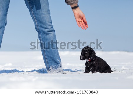 woman reaches her hand to a cute and sad puppy sitting in the snow