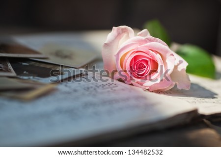 picture of an illuminated pink rose on old sheets of music and old photos