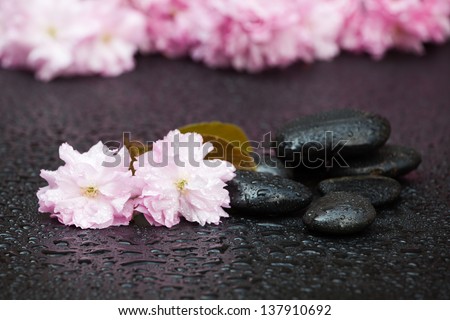 black stones on a wet black surface with pink cherry blossoms