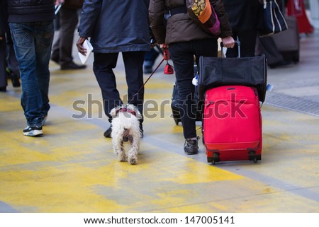 with a dog and luggage at the station