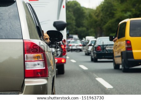 cars in a tourist traffic jam cars in a tourist traffic jam