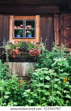 picturesque view of a very old blockhouse in the Austrian Alps with cottage garden plants in front