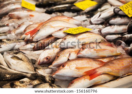 red snapper on a market stall at a fish market