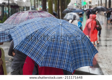 people with umbrellas on the move in the rainy city