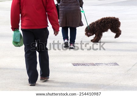 dog bites in the leash while walking in the city
