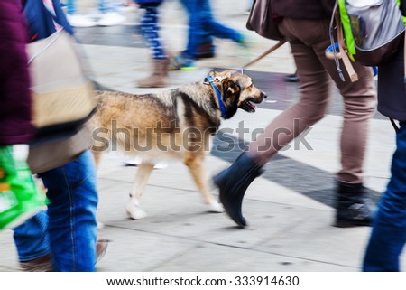 picture in creative blur effect made by camera of a woman walking the dog at the leash in the city