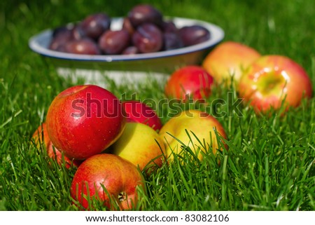 apples on the lawn and a bowl with plums in the background