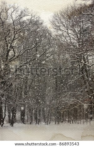 park landscape with falling snow overlaid with a decorative paper texture