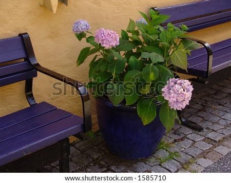 Blue Benches
