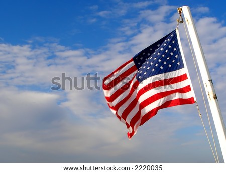 american flag pink. forcefully-american flag