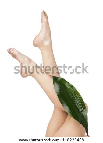  - stock-photo-close-up-cropped-shot-of-sexy-legs-and-green-leaf-model-selena-stevens-118223458