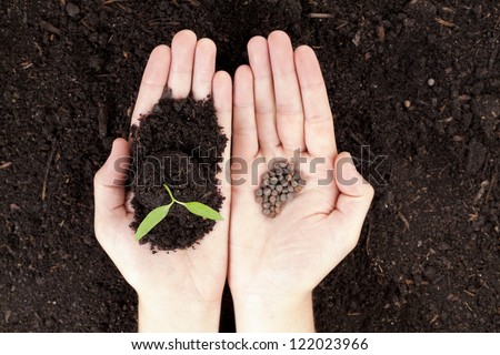 Open hands with newly sprout plant and seeds