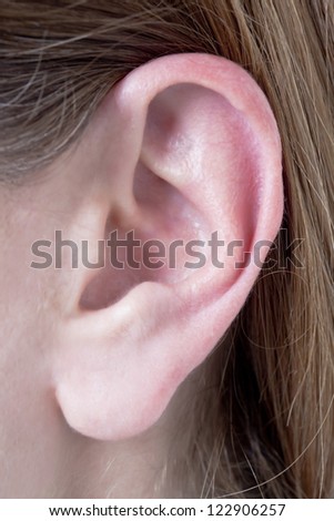 Closed up female\'s left ear