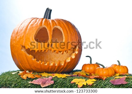 Jack O Lantern, mini pumpkins, and autumn foliage presenting a halloween scene.