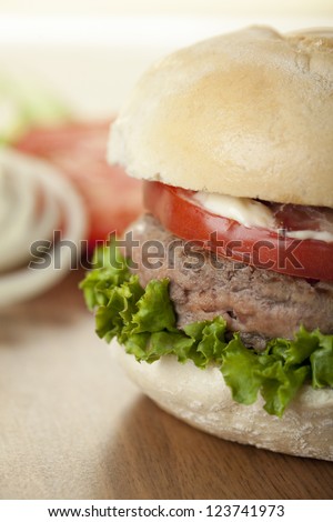 Cropped image of chicken burger sandwich with blurred ingredients on the background