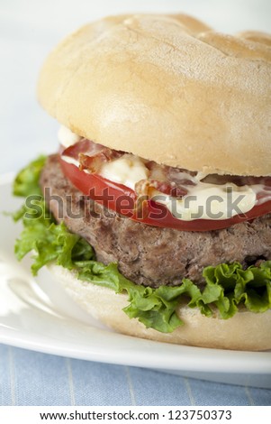 Cropped image of plate with yummy crispy chicken burger against the white background