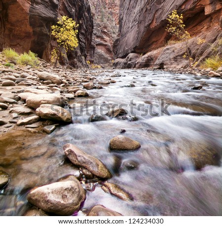 A long exposure captures the movement of a stream in Zion, USA.