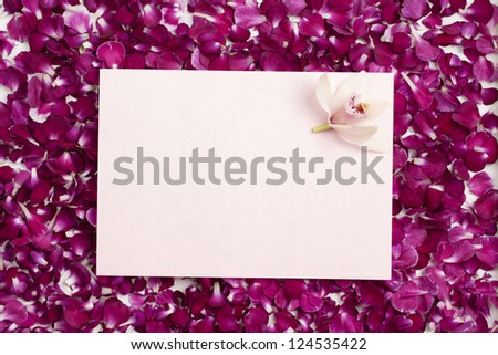 Close-up overhead shot of blank placard with flower arranged on pink petals.