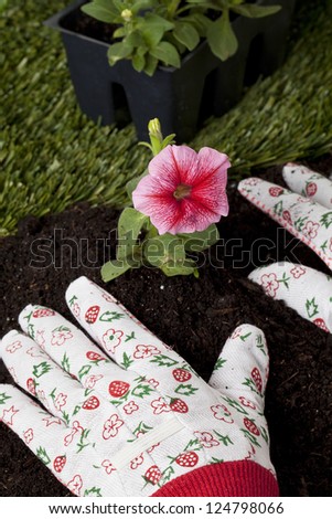 Closed up shot of a gardener\'s hand just finished planting a flower in the backyard