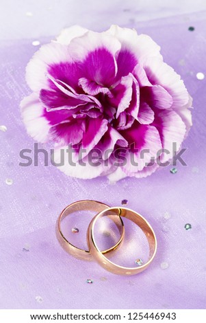 Carnation flower with two rings in a close-up image