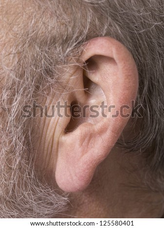 Close-up image of the ear of an old man surrounded by white hair