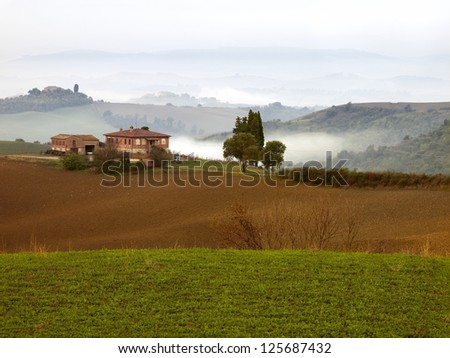 Layers of green and low lying fog in Tuscany